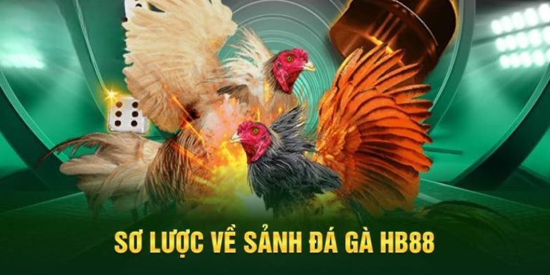 Sơ lược về đá gà HB88