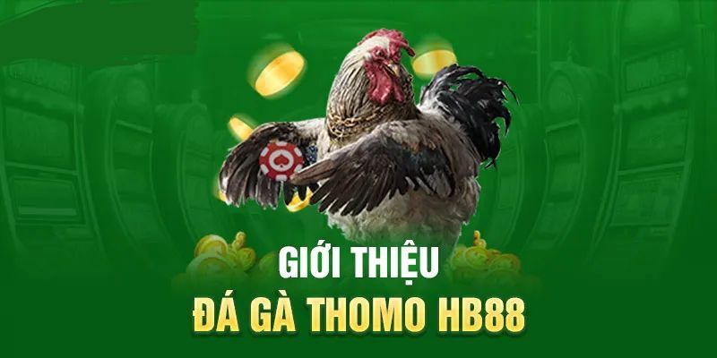 Đừng bỏ lỡ các trận đấu thomo